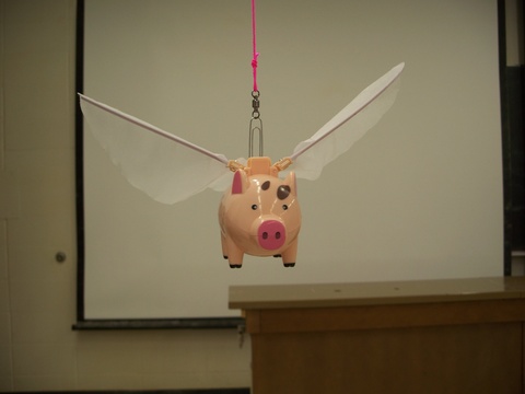 flying pig on a string