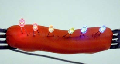 LED lights on a hot dog