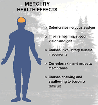 Mercury Health Effects