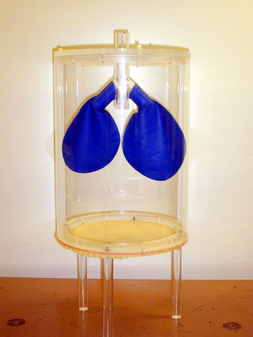Balloon Lungs Demo