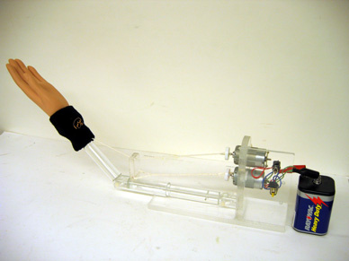 String Ligament Demo Equipment