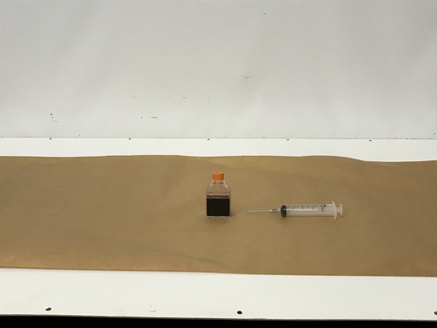 White Formica Board, Large Sheet of Paper, Syringe, bottle of special effects blood