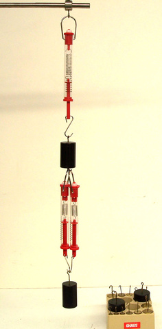 Multiple Spring Scales of Appropriate Values, and Masses