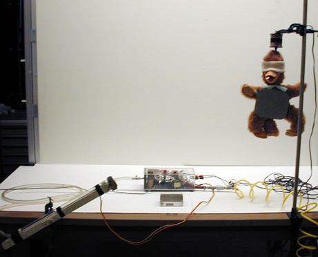 setup with items for Shoot the Monkey demo