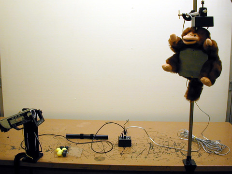 setup and items for Shoot the Monkey demo