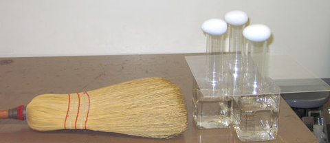 eggs, square plate, plastic beakers, clear plastic tubes, bristle broom