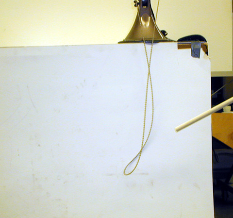 Dynabrolly Apparatus