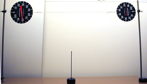 2 - 100 Newton Spring Scales, 5kg Weight, and Cord String.