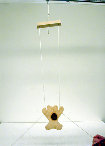 Climbing monkey apparatus