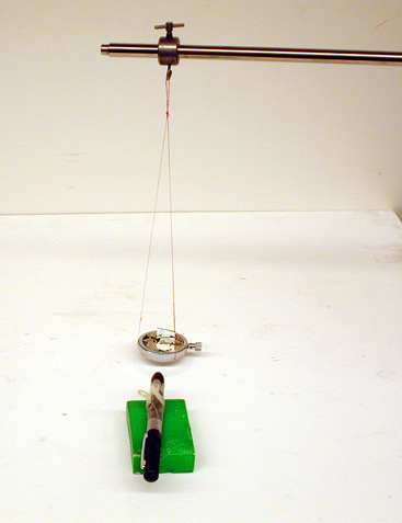 Action-Reaction Demo Set up