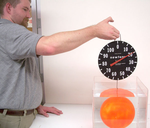 Person testing a bowling balls Buoyancy 