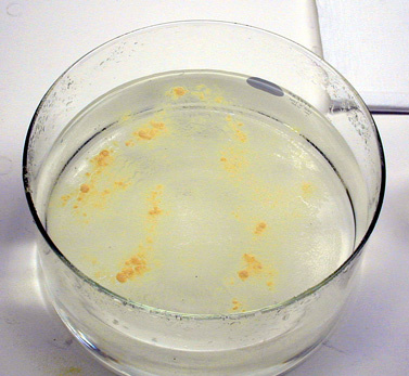 Evaporating dish, Lycopodium powder