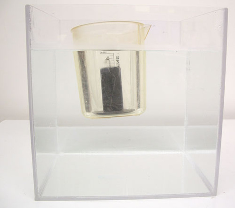 Beaker with a mass in the center in a tank of water