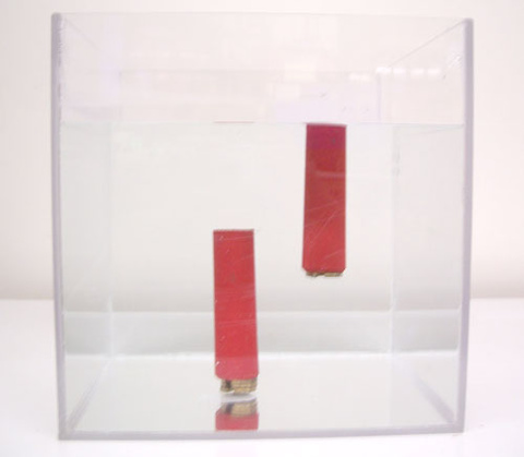 Round blocks with masses attached in a tank of water