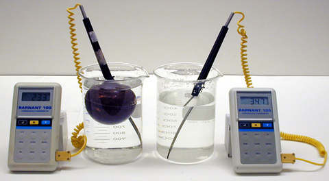 Thermometers placed in beakers with a density ball