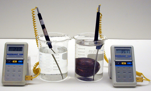 Thermometers placed in beakers with a density ball
