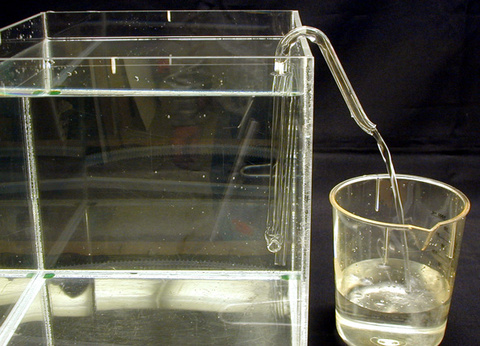 Homemade Glass Siphon