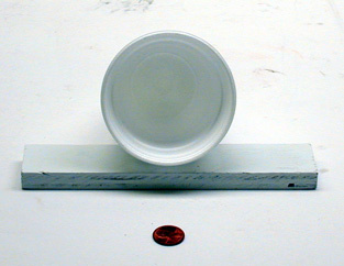 Styrofoam Cup and a Penny