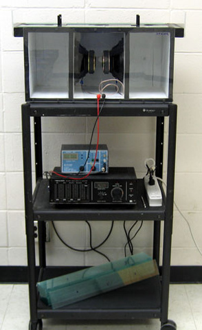 Low Frequency Glass Breaker Demo