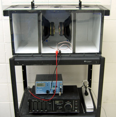 Low Frequency Glass Breaker Demo