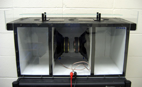 Close up of Low Frequency Glass Breaker Demo