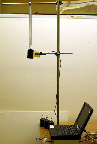 Spring on Vertical Stand, Masses (set)