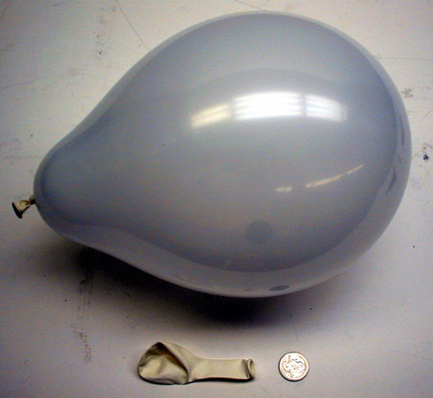9'' Helium Balloon, and a Quarter
