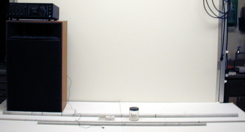 Set up for Singing Rods Demo