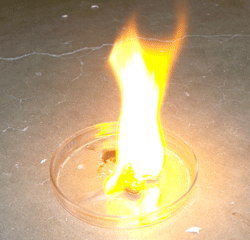 Petri dish, Liquid Oxygen