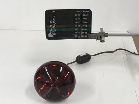 Postcard Liquid Crystals and Infrared Heat Lamp 