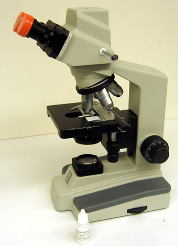 Microscope and Slide 