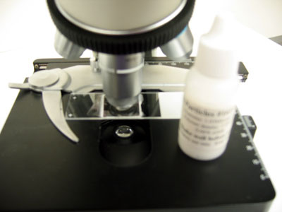 Microscope and Slide 