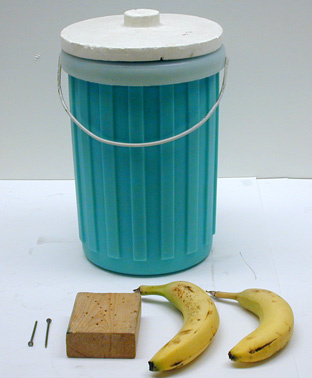 container of liquid nitrogen, bananas, nails and boards