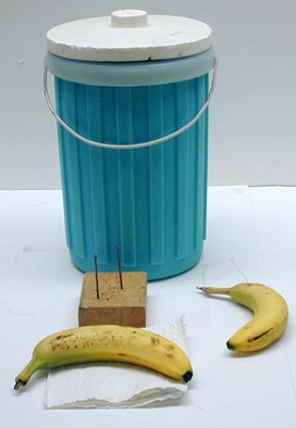 container of liquid nitrogen, bananas, nails and boards