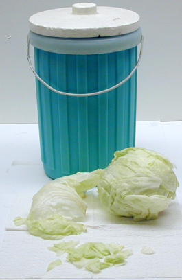 Liquid Nitrogen, Dewars flask, lettuce