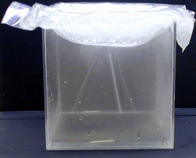 Plexiglas box