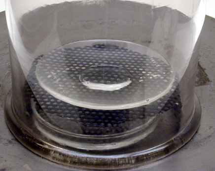 concentrated sulfuric acid in a shallow dish.