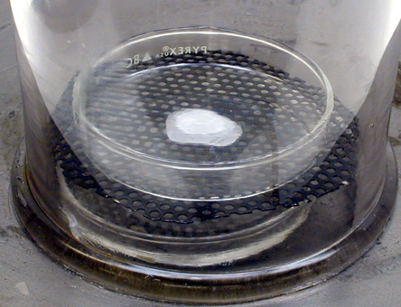 concentrated sulfuric acid in a shallow dish.