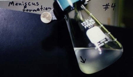 Critical Opalescence example (Meniscus formation)