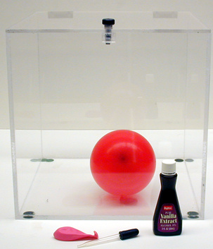 Vanilla extract, small balloons, eye dropper, Plexiglas box