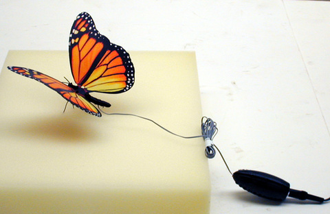 Memory Wire with Butterfly
