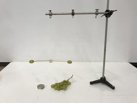 Grapes, rotating stand or arm and thread assembly, large Neodymium magnet