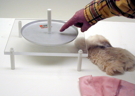 Electrophorus Plate, Charging Plate, Silk, and Cats Fur