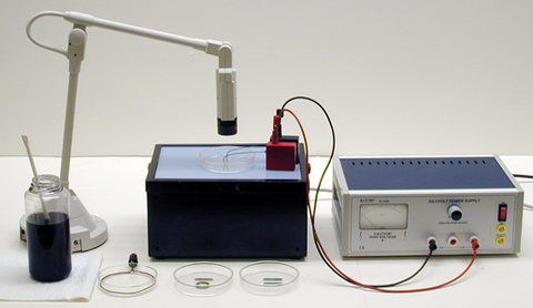 Electric Field Lines Demo