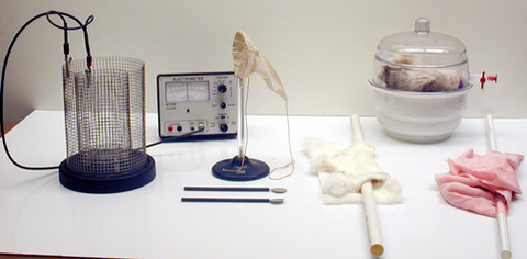 Set up for Butterfly Net Demo