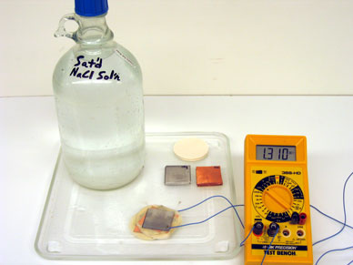 Wet and Dry/Voltaic Pile Demo