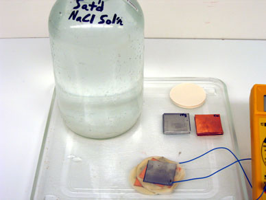 Wet and Dry/Voltaic Pile Demo