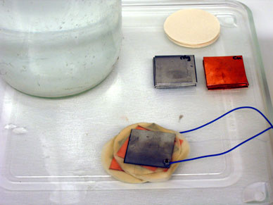 Wet and Dry/Voltaic Pile Demo