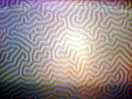 Magnetic Domain Crystal