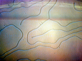 Magnetic Domain Crystal